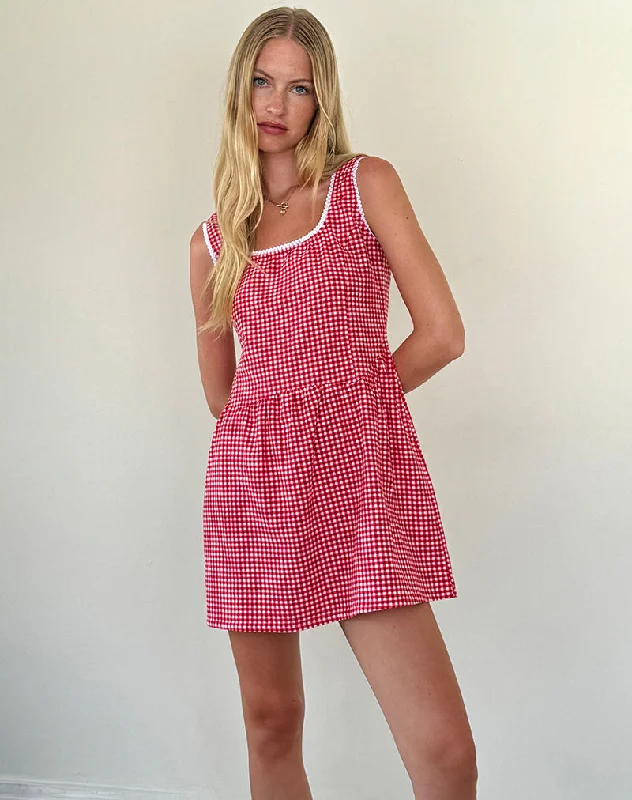 Mini dresses with mesh panels for a sexy and trendy look Leshi Mini Dress in Red Gingham